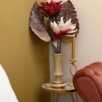Ducato Di Aria , Luxury * 纳夫普利翁