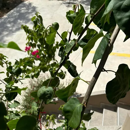 Apartment Ducato Di Aria Nafplio