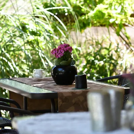 Ducato Di Aria , Luxury *